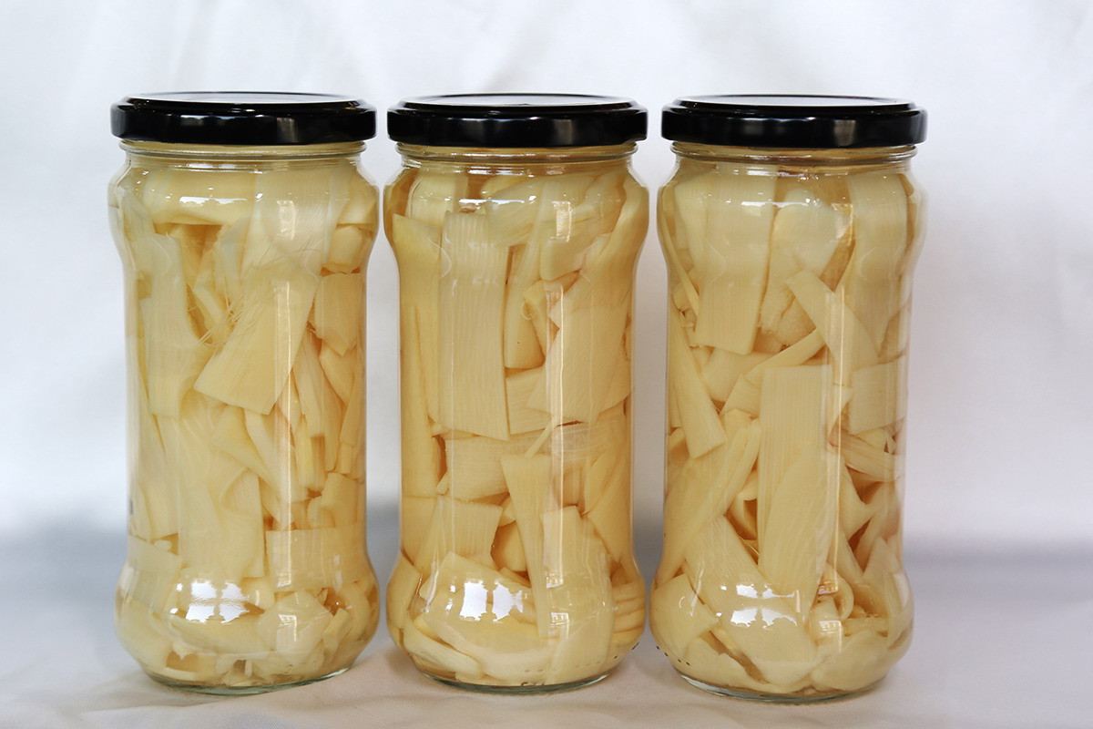 旺财28官网-追求健康,你我一起成长