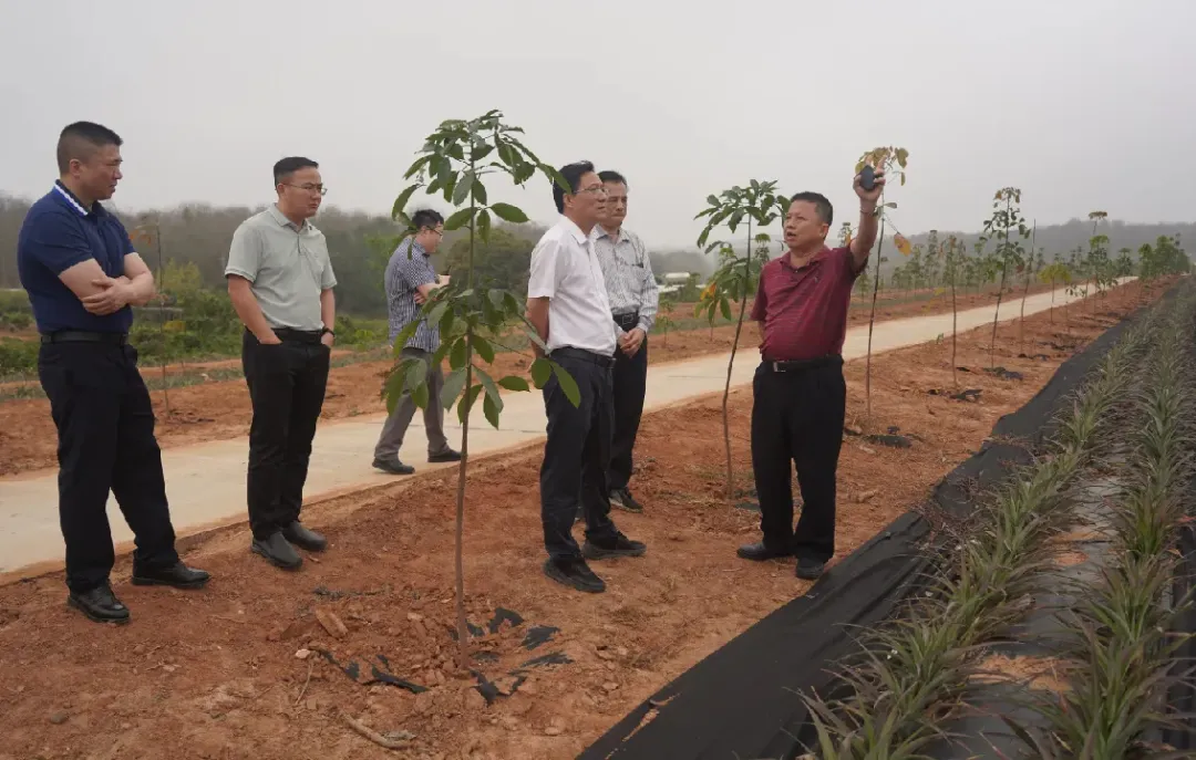 黄廉宏赴西培分公司调研