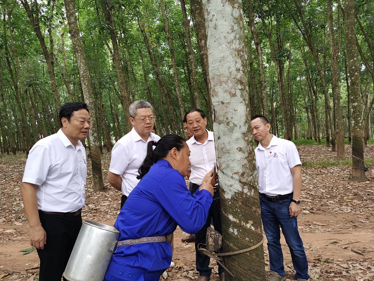 多多28·(中国平台)官方网站