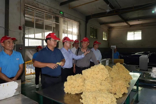 多多28·(中国平台)官方网站