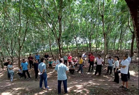 多多28·(中国平台)官方网站