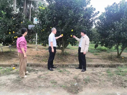 多多28·(中国平台)官方网站