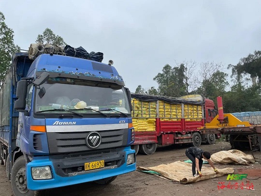 多多28·(中国平台)官方网站