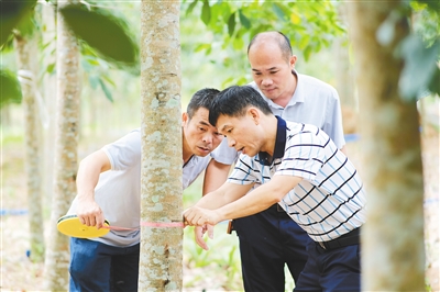 多多28·(中国平台)官方网站
