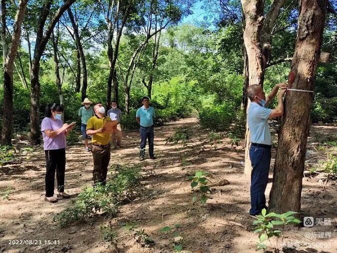多多28·(中国平台)官方网站