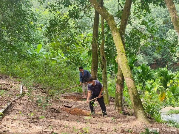 多多28·(中国平台)官方网站