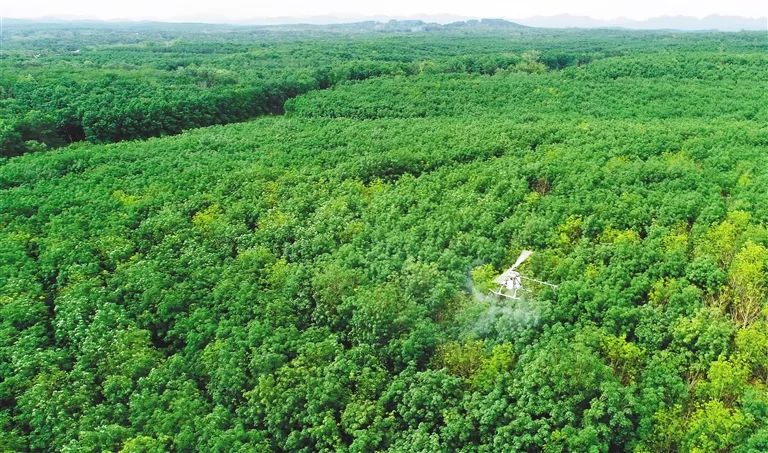 多多28·(中国平台)官方网站