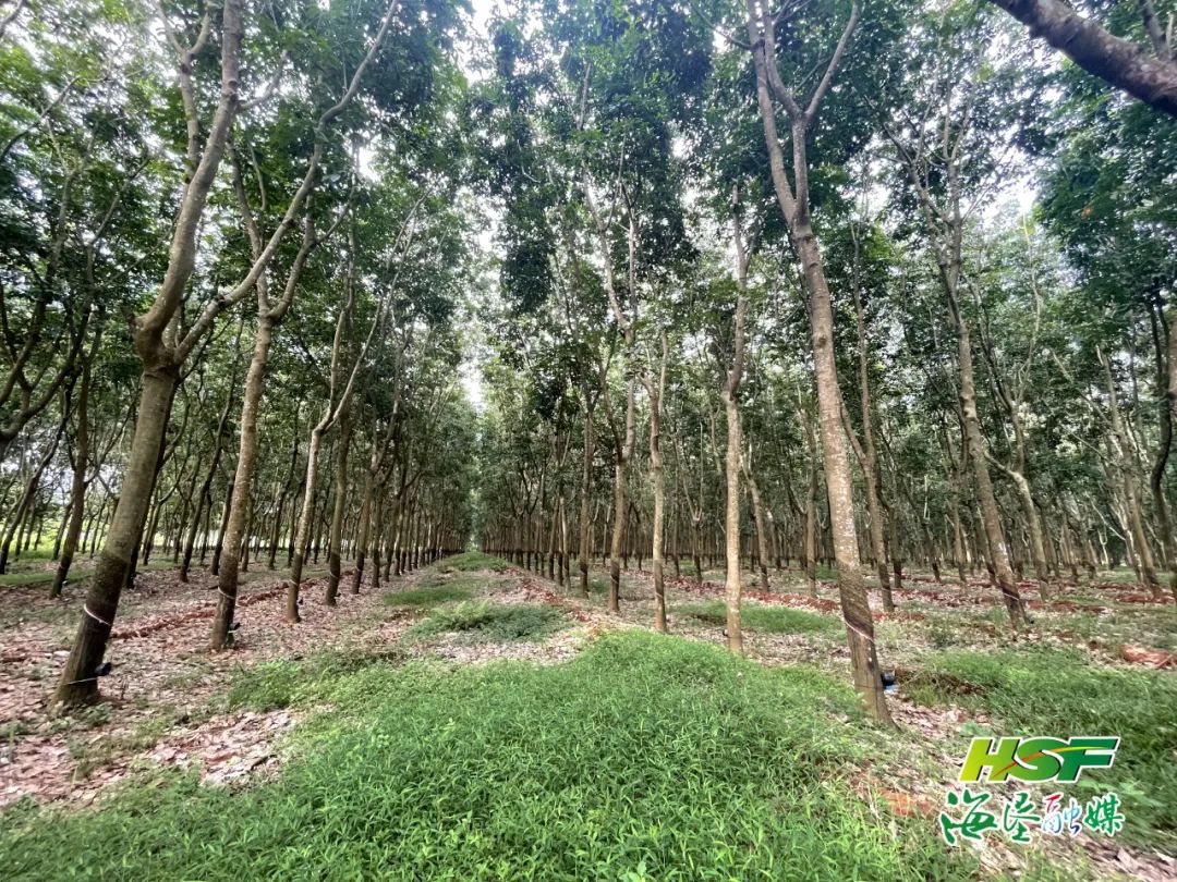 多多28·(中国平台)官方网站