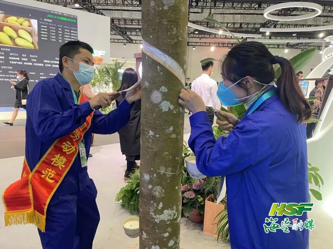 多多28·(中国平台)官方网站