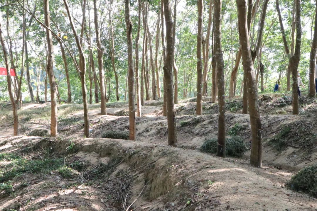 多多28·(中国平台)官方网站