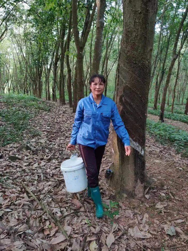 多多28·(中国平台)官方网站