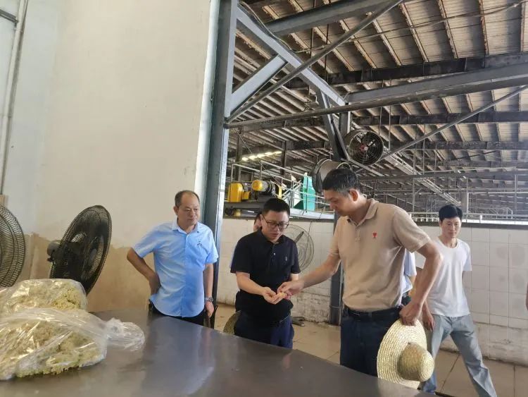 多多28·(中国平台)官方网站