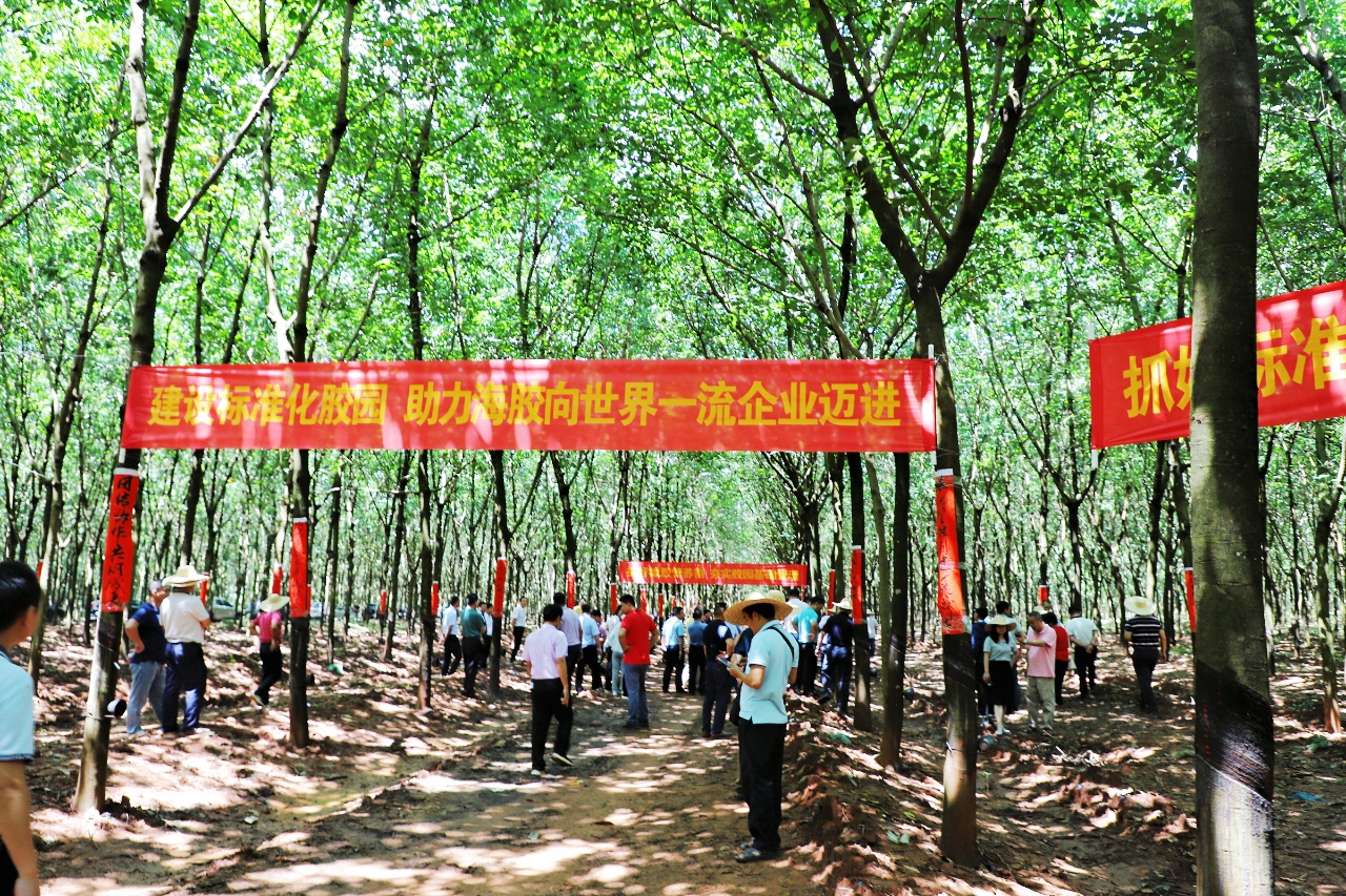 多多28·(中国平台)官方网站