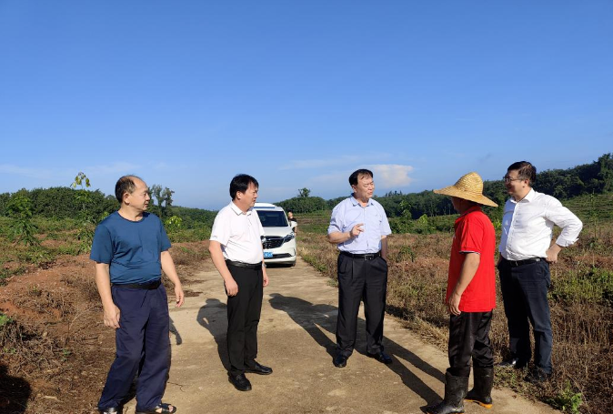 多多28·(中国平台)官方网站